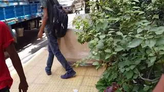 MOVE with Movers | Movers and packers bangladesh