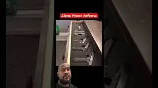 Alexa Home Defense System #shortsfeed #firearmsdaily #shortvideos #youtube #shortsvideo #shorts
