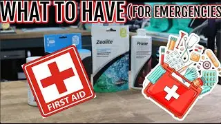 Setup Your Aquarium First Aid Kit Easily | Freshwater & Saltwater Solutions