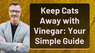 Keep Cats Away with Vinegar: Your Simple Guide