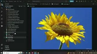 Create PDF Files in Python 📄 | Step-by-Step Tutorial