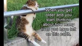 #18 Funny Animal Picture Dump Of The Day 23 Pics