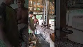 Saw Mill Cutting Process in Bangladesh #sawmill #wood #shorts