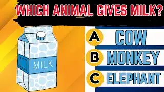 20 Fun Logic Questions | Kids Quiz Challenge