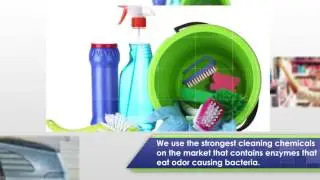 School Janitorial Services | Forte Commercial Cleaning