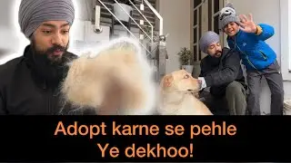 Dog Adopt Karne Se Pehle Ye Dekho! 🛑