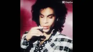 Prince 💜✨ #prince4ever