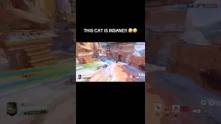 ЭТОМУ КОТУ НЕЛЬЗЯ ТАК ДЕЛАТЬ! 🤣🤣