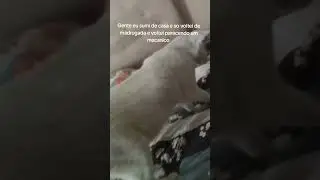 Eu Sou Bem Danadinho(Oreman)
