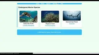 Lesson 3 | Web Development Advanced | Bit by Bit Coding