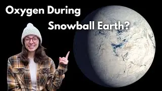 New Findings De-emphasize Oxygen's Role in Animal Evolution During Snowball Earth...