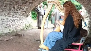 Nefarnia @ Hayner Burgfest 2024 - Star of the county down