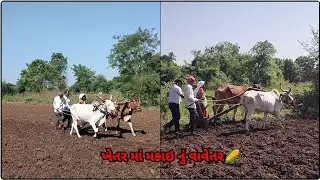  ખેતર માં મકાઇ નું વાવેતર🌽 | खेत में मक्का की खेती शुरू | MehulRathvaVlogs