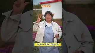 Какие многолетники сажать под зиму? Лаванда, флоксы, дельфиниум 🌸❄️