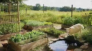 PERFECT garden loop Sora2
