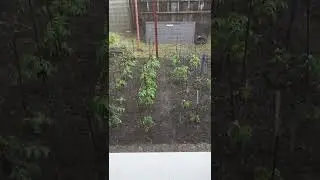 град в Тамбове