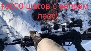 Вепрь впо 129 и 16000 шагов зимой по сопкам! Тяжело или …???