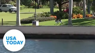 Heavy security protects Trump&rsquo;s Mar-a-lago | USA TODAY
