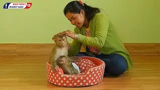 Mom Take Care Baby And Grooming Tiny Olly With Adorable Kako Sleep