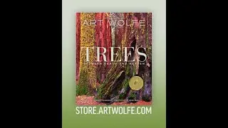 Art Wolfe's Trees: Between Earth & Heaven
