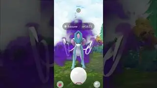 Did I catch Shadow Shiny Suicune! #pokemon #pokemongo #legendarypokemon