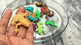 Plastic Mini Animals | Plastic Wild Animals | Animal Toys | satisfying toys ideas