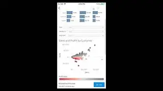 Tableau Mobile