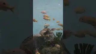 Beautiful Aquatic Creature #fishworld #aquaticcreatures #sciencecityahmedabad #trendingshorts