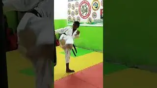 karate practice #kidskarate #bestkarate #viralshort #viralvideo #martialarts #foryou