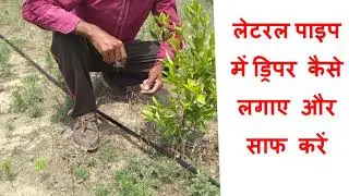 ड्रिपर कैसे लगाए | How to install Dripper | how to clean a emitter | dripper | Emitter | drip |