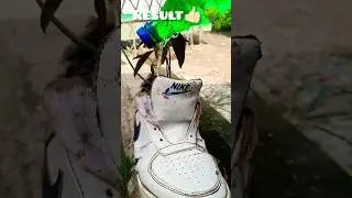 80k Nike Shoes How To Mango Ped 🌳🥭 || experiment @SANJIB811#shorts #youtube  ￼￼