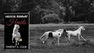 Mission: Runaway Hearts