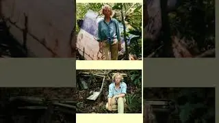 The Juliane Koepcke Story:Only Survivor Of Peru's Plane Crash #amazon #airplanecrashes #survival