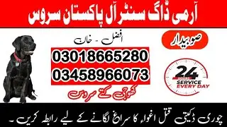 Army Dog Center 03018665280 (Khoji Dog Center) | Fauji dogs | Khoji Kutta Contact Number | S&S 