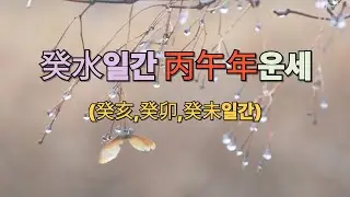 2026년 丙午年 癸水일간 신년운세 (癸亥,癸卯,癸未) [상담및 교육문의 : 010-4983-7972]
