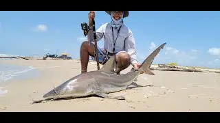 Catching Sharks from the Beach - Matagorda Surf Fishing by Fisherman ATX