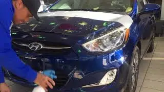 3M Hood Protection|401 Dixie Hyundai