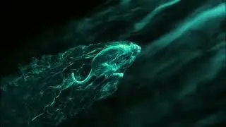 Intro Video
