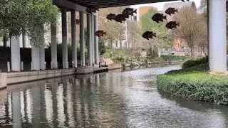 River Walk visitors share safety concerns as downtown prepares for busy holiday events