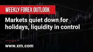 Weekly Forex Outlook: 23/12/2022 - Markets quiet down for holidays, liquidity in control