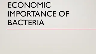 #Economic importance of bacteria  BSc 1st year, MJC 1 , MIC 1, MDC 1 #bacteria in industry 