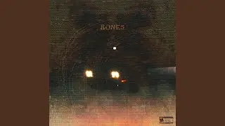 The Reign