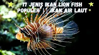 17 Types of Popular Lion fish || Sea Water Fish
