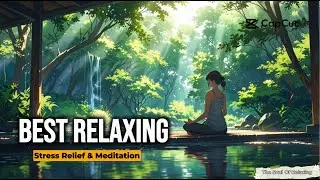 Relaxing Healing Music 🌸 Nature Sounds for Spa, Meditation & Sleep