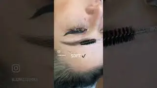Natural Healed Powder Brows