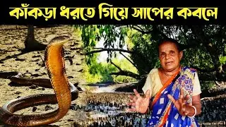 জঙ্গলে বিষাক্ত সাপের মুখোমুখি || Poisonous Snakes In Sundarban