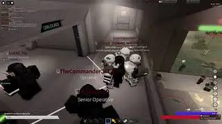 VIP Protection with 3DMATX