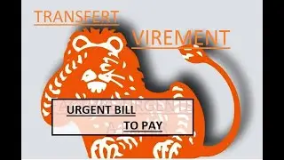 ING BANK (BANK TRANSFERT SLOW)