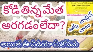 కోడి తిన్న మేత అరగకపోతే ఎలా ట్రీట్మెంట్ చేయాలి