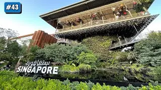 The Green Singapore in Dubai | Expo Dubai 2020 Singapore Pavilion | Kaalikkoppa